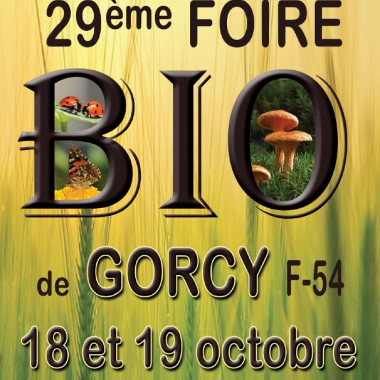 🌱Retrouvez SHOGGA à la Foire Bio de Gorcy