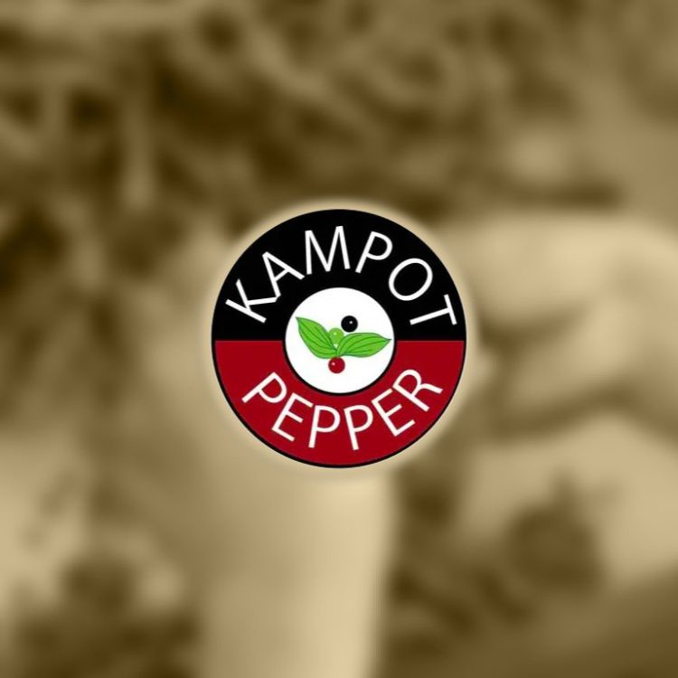 Le poivre de Kampot : un héritage séculaire