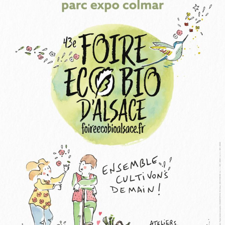 🌿 SHOGGA à la Foire Éco Bio d’Alsace 2026 | Colmar