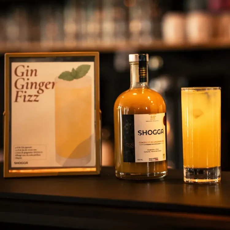 🍸 Gin Ginger Fizz : le cocktail pétillant et naturel au SHOGGA®